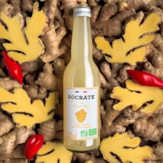 Gingerbeer socrate