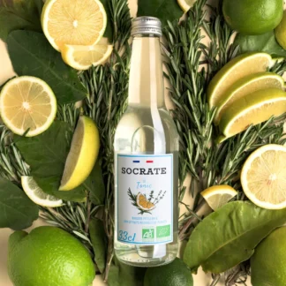 Tonic Socrate