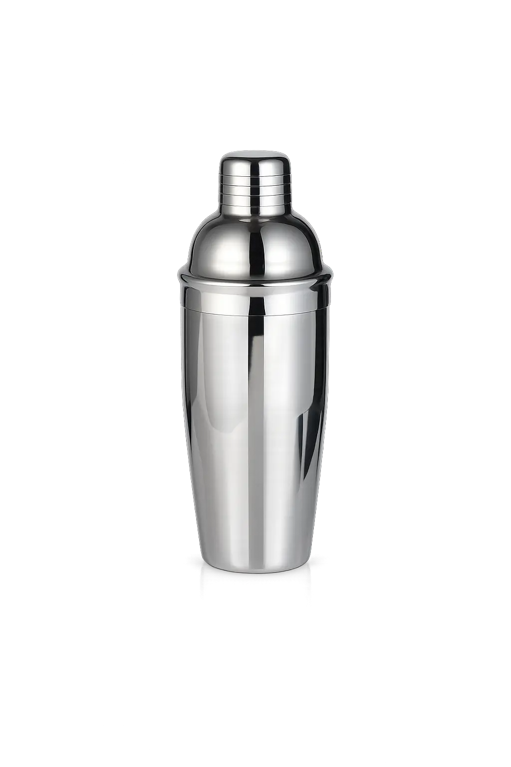 Shaker en acier inoxydable